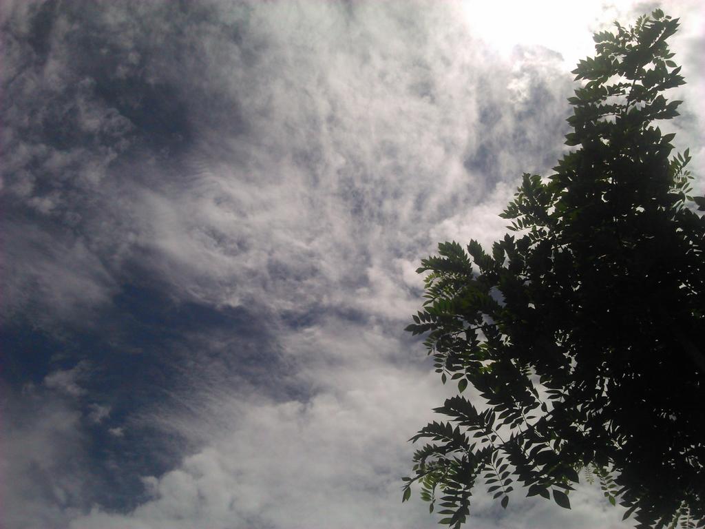 tebyis_prian's tweet photo. http://t.co/qpToYSqUAK