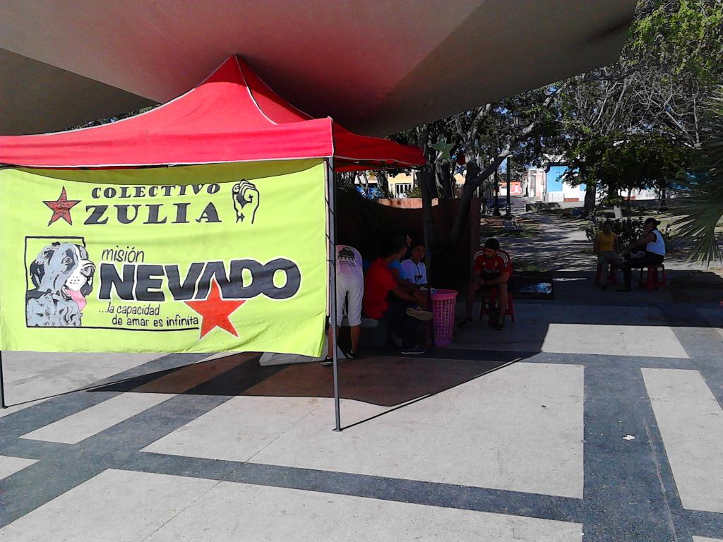 suarezbernal's tweet photo. Jornada de Esterilización de caninos y felinos en Maracaibo activa @MisionNevado @NevadoZulia http://t.co/kLdgVLt2gN