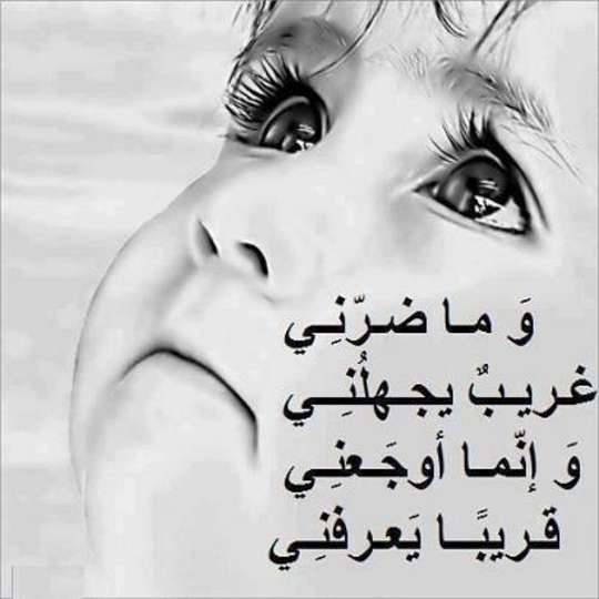 :♥:: مدونتي الخاصه ::♥: ومازال لحديثي بقيه .♥. . .♥.♥ - صفحة 4 B6budH6CAAA6xnS