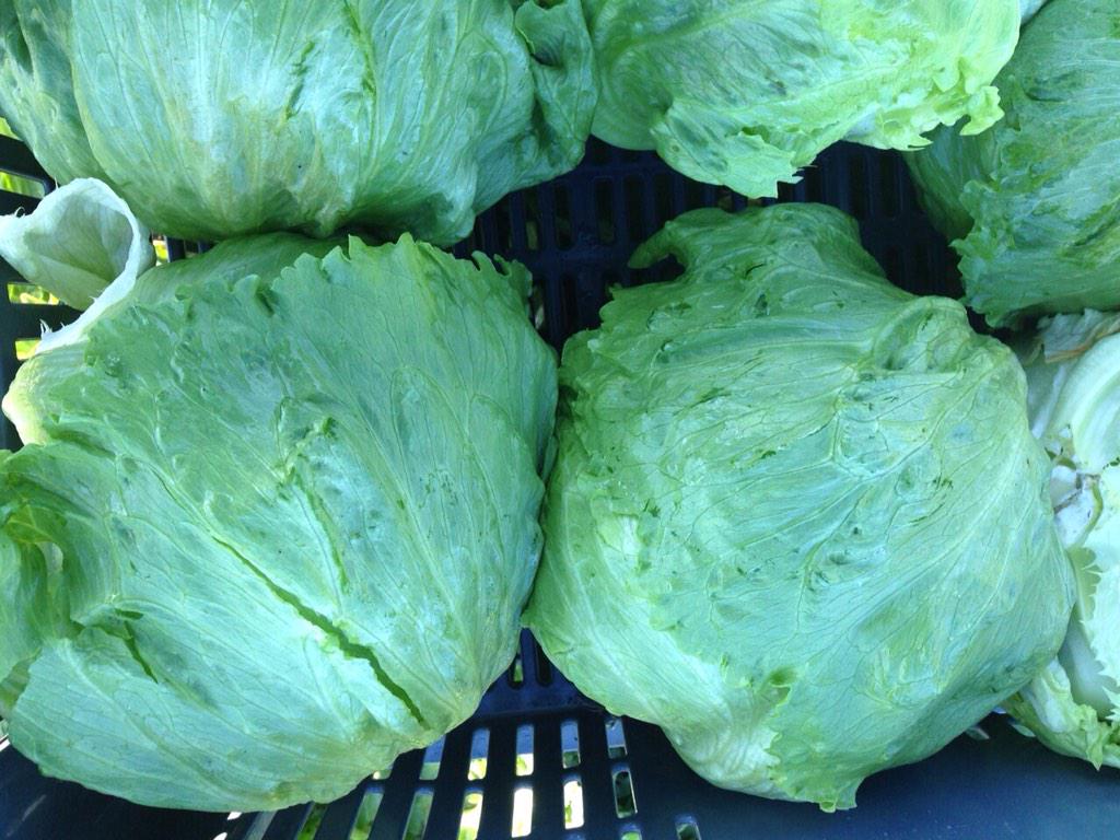 Visita nuestro sitio web countryfruits.com.co