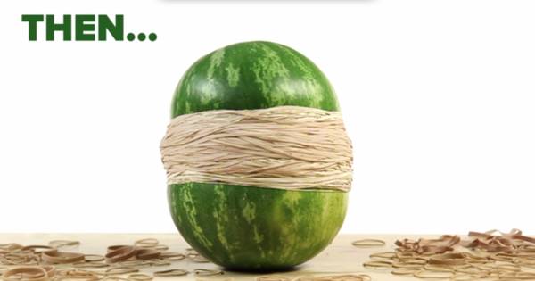 Life Pro Tips tweet media