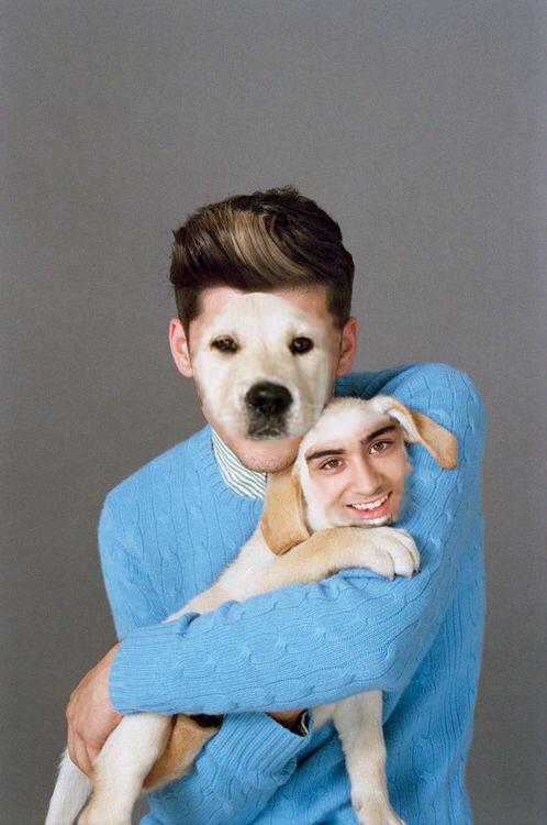 FXCKABLE_HARRY's tweet photo. "We could run twitter"
#carteriskingofflopnation #1DFandomLovesJackGilinsky http://t.co/BuGryUEibw