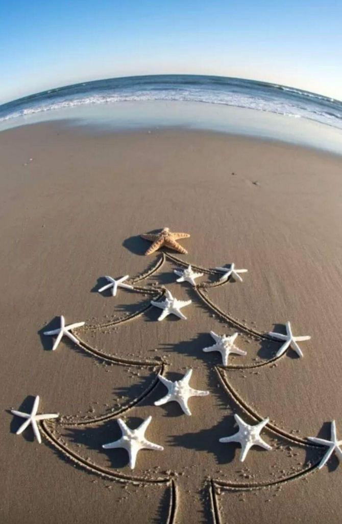 JMOReillyAssoc's tweet image. Happy New Year.   #capecod #Engineeringthings  #seashells