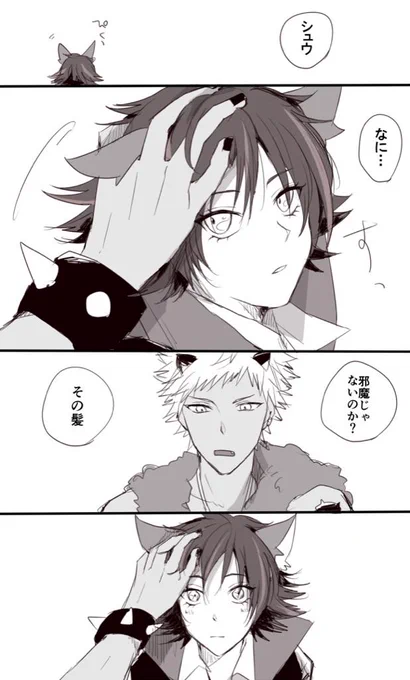 ロムシュウ† 
