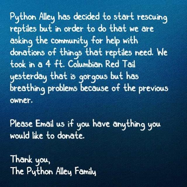PythonAlley's tweet image. Please help python alley so we can keep rescuing... Thank you