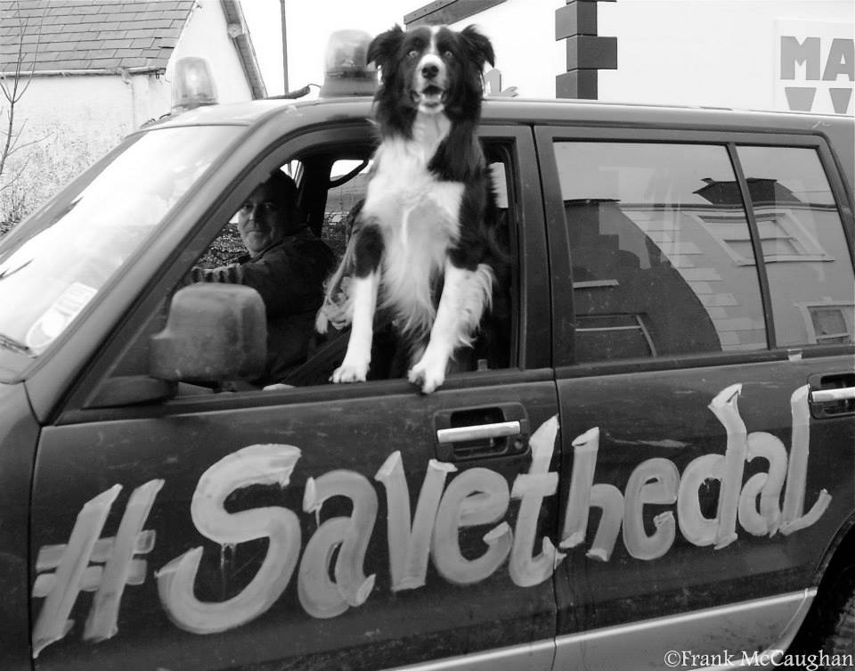 Reamai's tweet photo. The very dogs on the street  #savethedal @Jim_Wells_MLA @paulfrewmla @daithimckay @DavidRMcIlveen @Robin_Swann_MLa http://t.co/putIo0O8at
