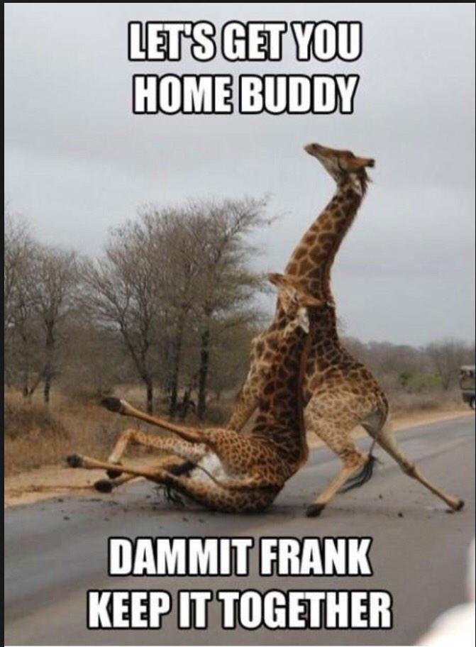 _Just_In_Kace's tweet photo. Last night in a nutshell. http://t.co/BAvRzFBGpU