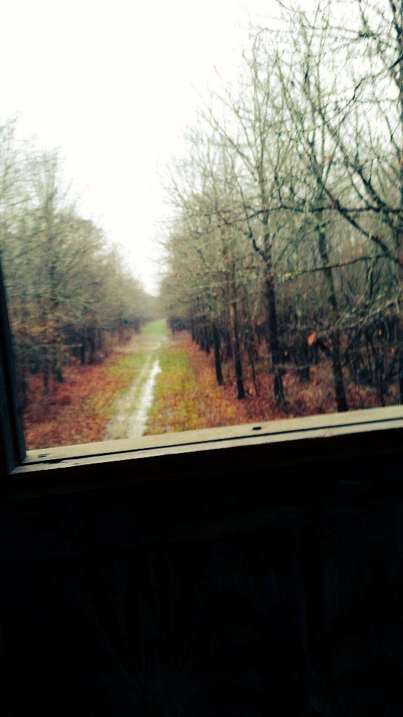 bscott876's tweet photo. #rainyhunt #toohot #wakemeupin2hours http://t.co/juwfxH34s8