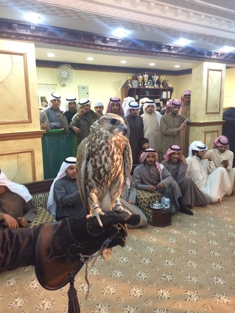 لله الحمد والشكر

تم بيع الطير بمبلغ ١٧ الف دينار

٢١٧٥٠٠ ريال