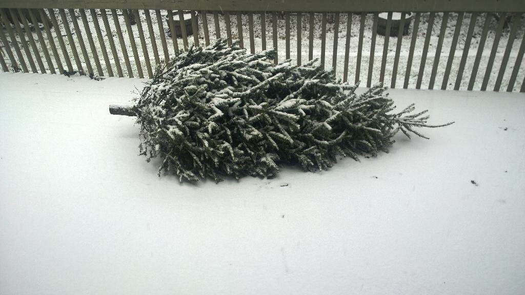 ShawnMcKillop's tweet photo. It's come to this. #HolidayVortex over. http://t.co/vqcNL7ik8t