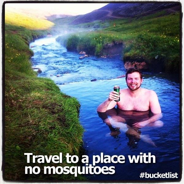 IcelandinNY tweet picture