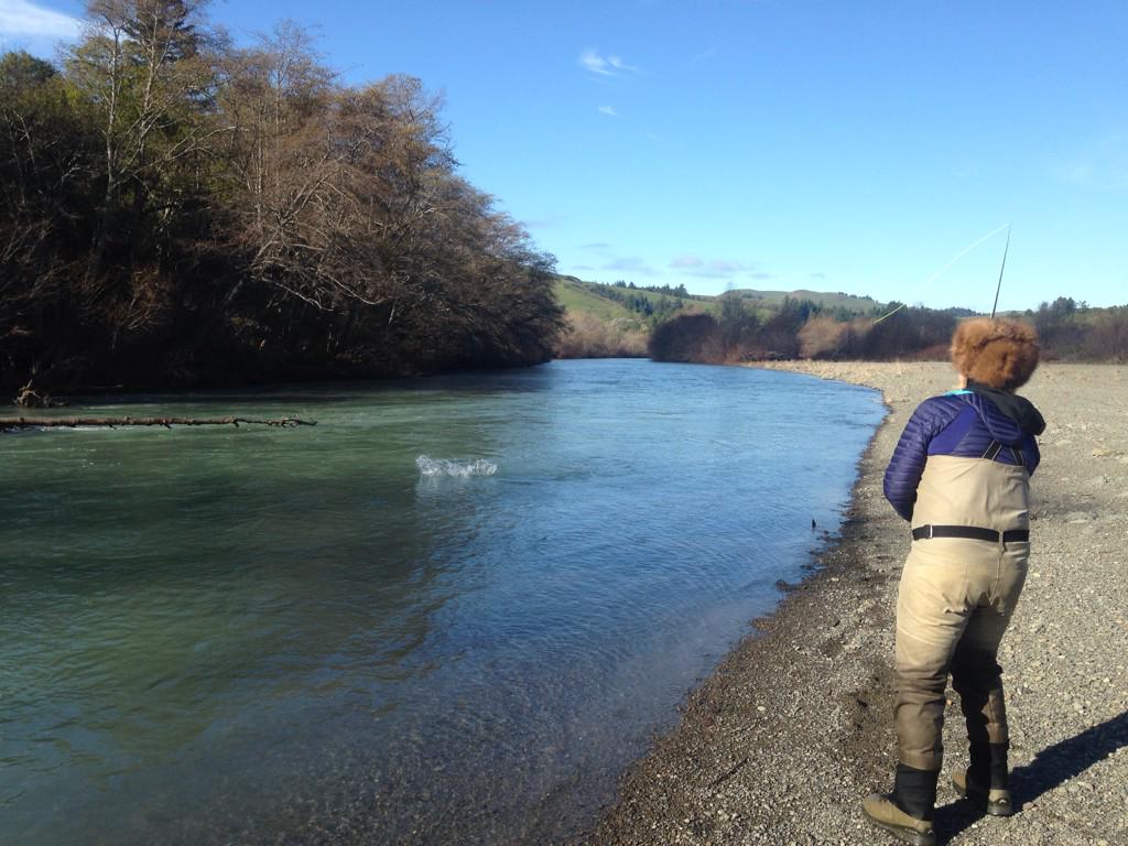 FishMiss82's tweet image. Coastal Action!!