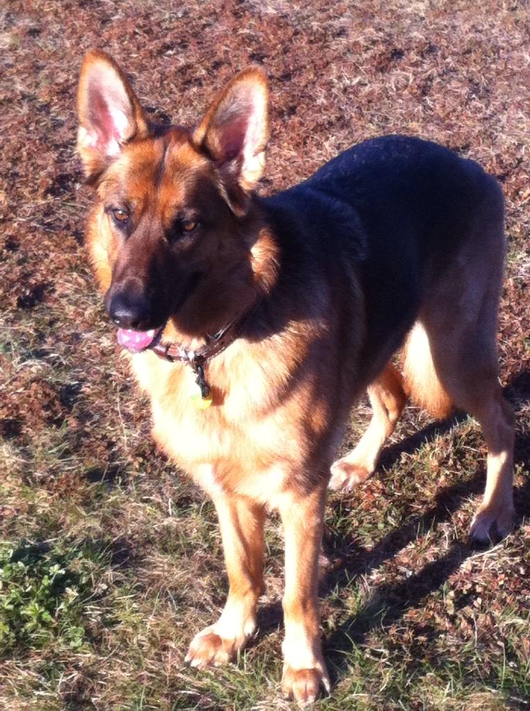 Embedded image permalink