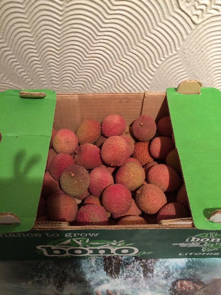 Lombax_Girl_94's tweet photo. Words can not describe how much I love @LidlUK right now!# Lychees at £2.99 a kilo?!?!?! Thank you!! 😍😍😍 http://t.co/nlSKnTle4A