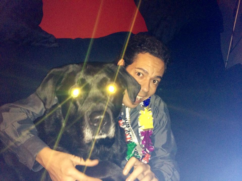 NEGROPISCINA's tweet image. Aqui tuneando a mi perro que le puesto dos antiniebla pa celebrá el año nuevo bro!