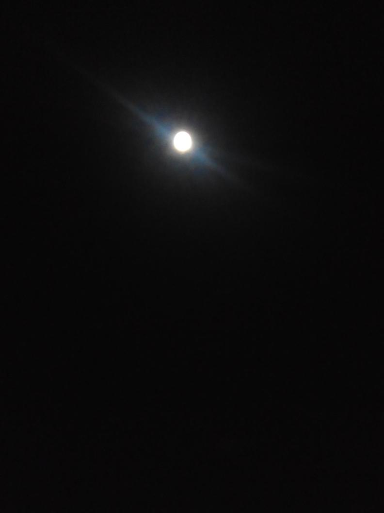 nuria21j's tweet photo. Fue o no fue. Buenas noxes http://t.co/6lOdRToLuA