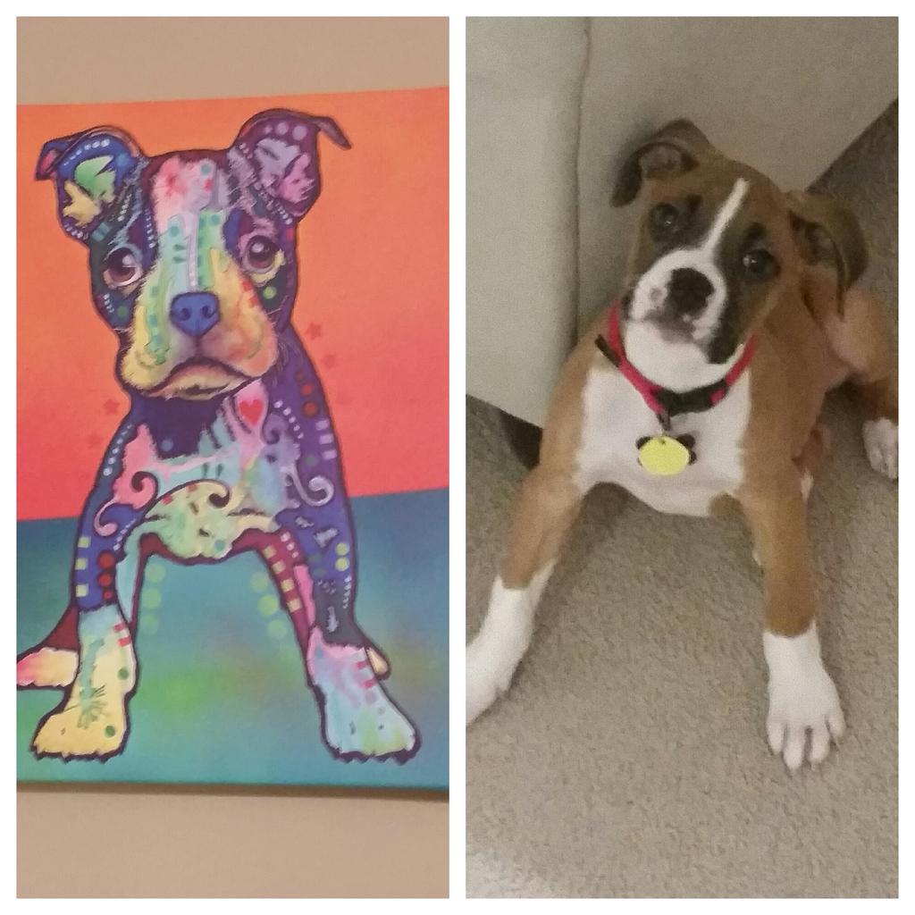 BoxerChronicles's tweet image. See the resembles??? Can't believe MaMa randomly  found this poster for us. It's as if it was ment to be.