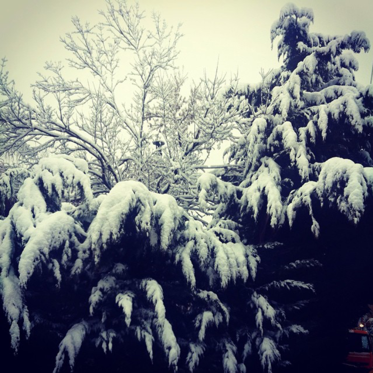 LBCILebanon's tweet photo. صباح الخير! صورة من فاريا أرسلها وسام خليل على http://t.co/2qagWC40qp #Lebanon #livelovelebanon http://t.co/Icvow6obte