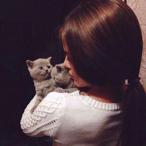 AvisUnique's tweet photo. Kittens avi http://t.co/1U1hCTUyw0