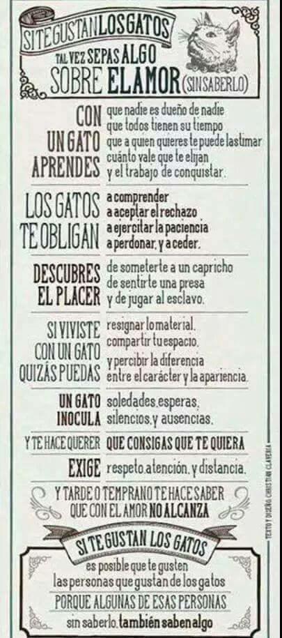 HistGatunas's tweet photo. Si te gustan los gatos, tal vez sepas algo sobre el amor... http://t.co/cxcCaYz1vj