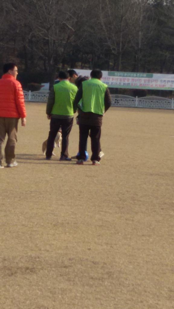 분당구청앞 잔디광장 반려견 목줄단속 중입니다
중앙공원에 마련된 놀이터에서 반려견과 마음껏 뛰어노세요