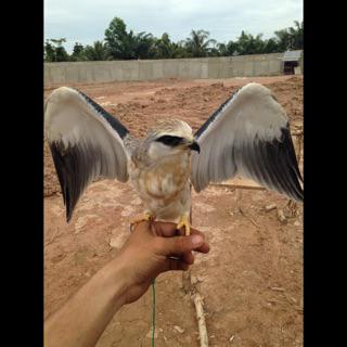 Muhammadzakki3's tweet photo. http://t.co/v6XcQMVyDU