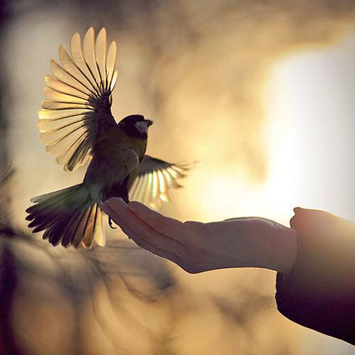 SatOnMeeting's tweet photo. HAPPINESS is the spiritual experience of living every minute with LOVE, GRACE & GRATITUDE!😊
#quote #NotMaterial http://t.co/twnDq5O00l