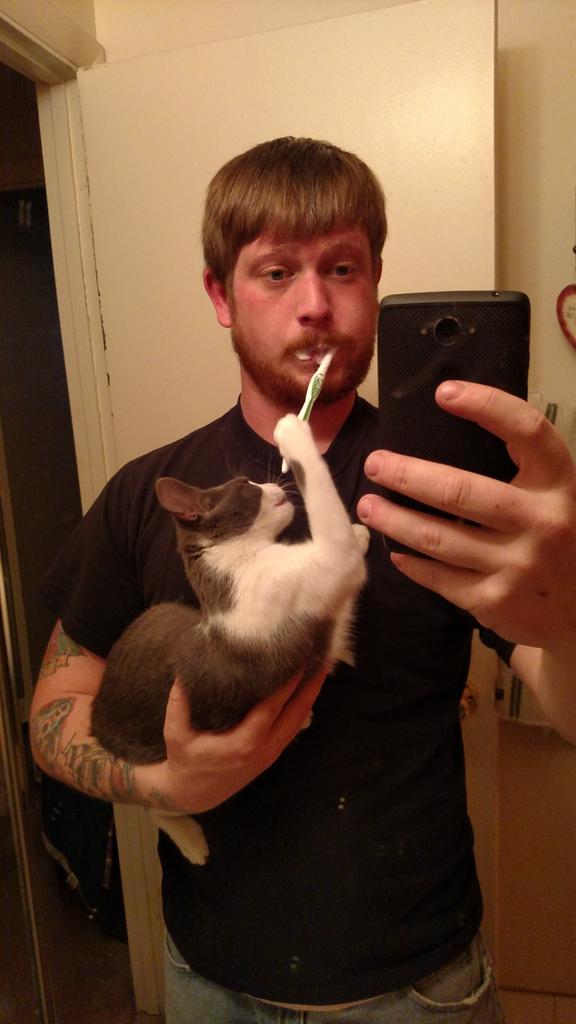 RobertSwaim's tweet photo. My #cat thought I needed help brushing my teeth today.. http://t.co/sNUXHJdN5w