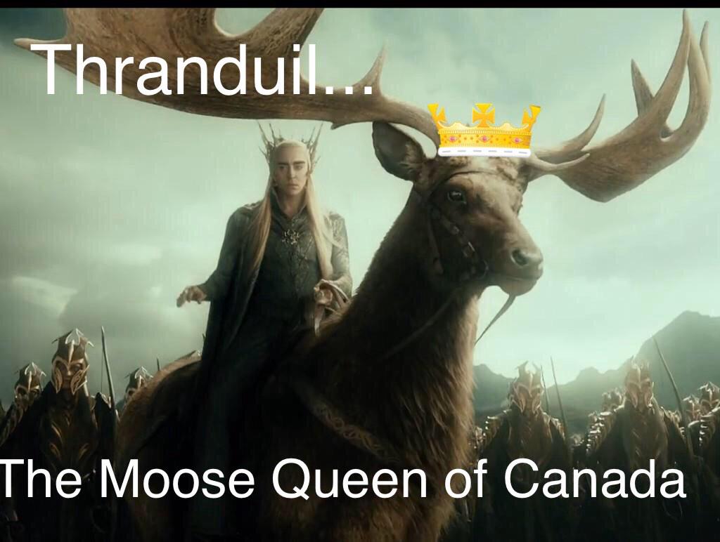 OOC: I'm sorry.. I made a picture for it..