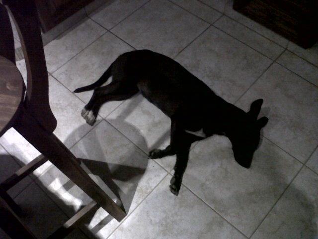 LorenaEgus's tweet image. Duerme #LaNego ♥ mas tierna ella.... @AylenPautasso @MarceloCremoso