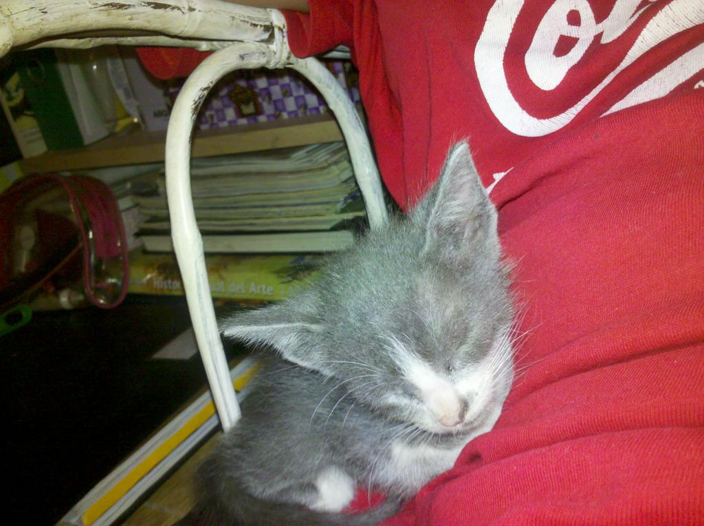 RociioZalazar's tweet image. Se me durmió el crío... #Chewe