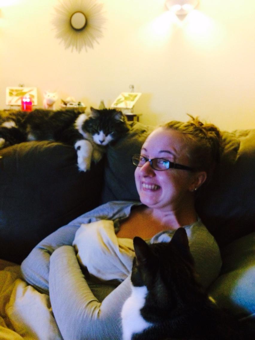 Goldenrondee's tweet photo. @DaryleTun #crazycatlady http://t.co/Vp325YUiHH