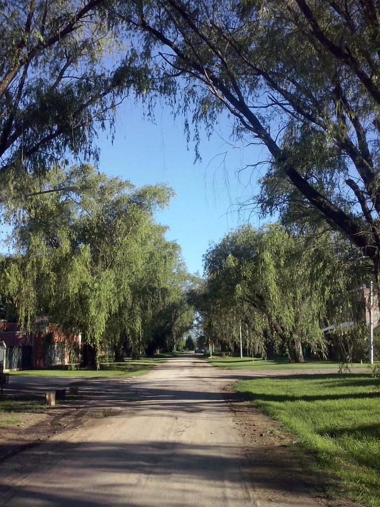 gastondaix's tweet image. #Twopens #venado