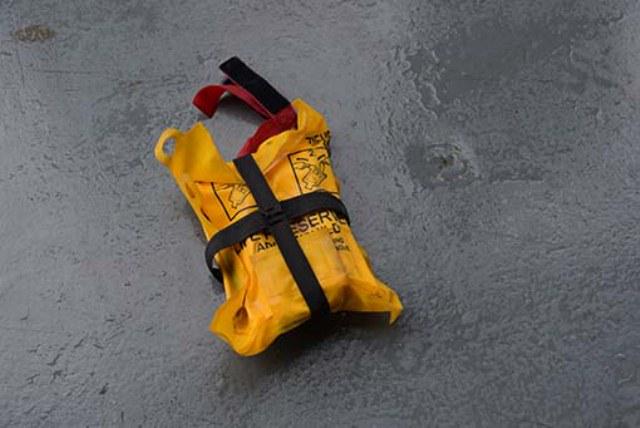 Embedded image permalink