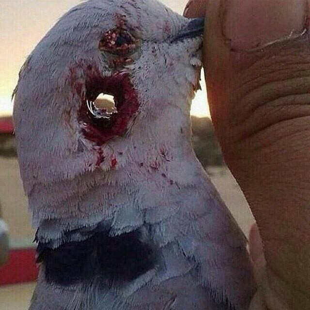 ZxNooz's tweet photo. "@alotibe_naif: #كحل-عينك http://t.co/NTX1UrYa2o"