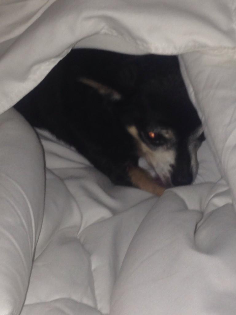 jp003TX's tweet photo. #shebored http://t.co/wZDOeWrNLx