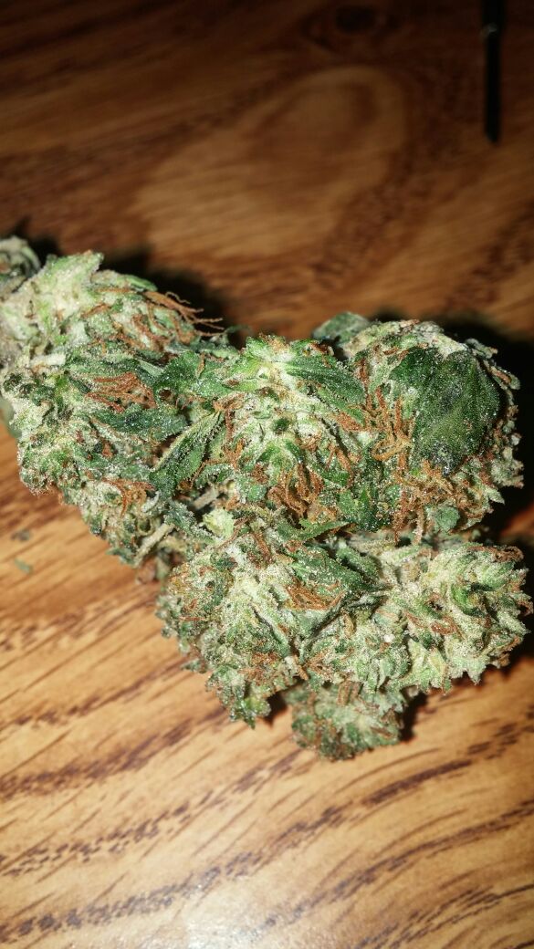 MsCiCiBabyyyy's tweet photo. #BlueCheez my goodness http://t.co/VbmfMVbaTQ