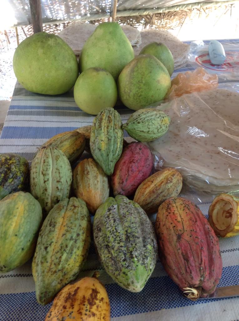 Cocoa beans on the Mekong.
