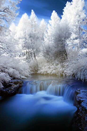 NewZealandSky's tweet photo. Canada? Nope! this is Kerosine Creek hot water stream, Rotorua, North Island, #NewZealand by Paul Mercer. http://t.co/caE9DtdNSF