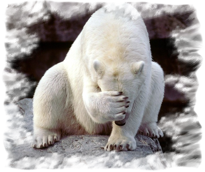 TaoTronics Italia tweet media