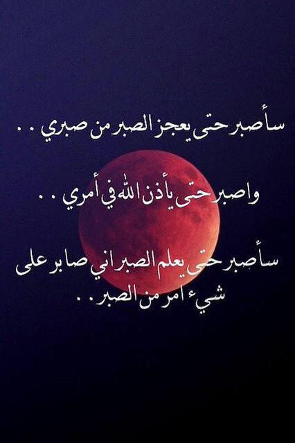 قال أمير المؤمنين علي بن ابي طالب. ع##