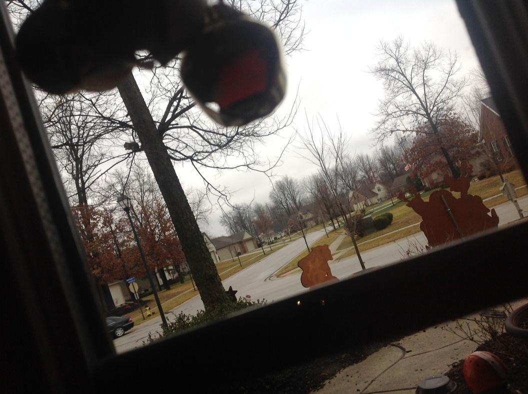 BlakeFirebug00's tweet image. 