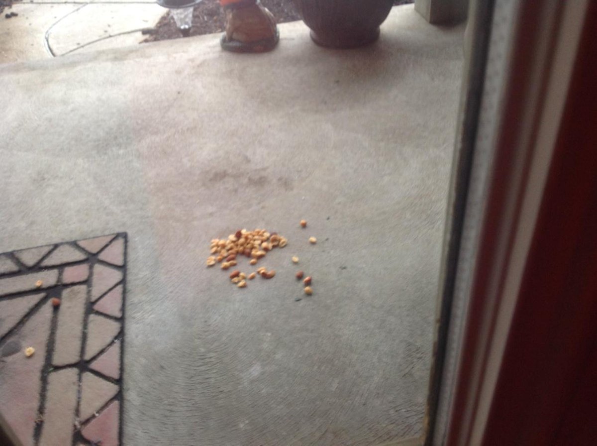 BlakeFirebug00's tweet image. 