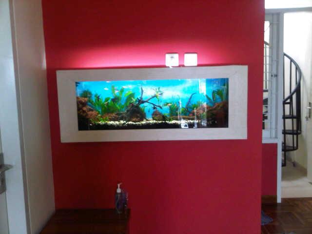 82 Design Aquarium Tanpa Kuras Gratis Terbaik