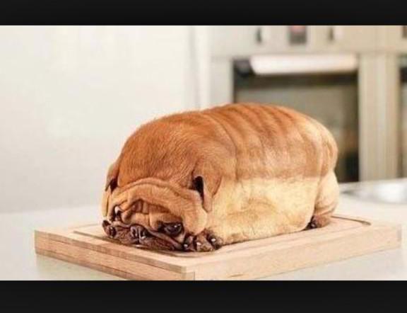 sarah0sborne's tweet photo. “@PerezHilton: This is how I feel right now. http://t.co/0Wqiu0YnPy http://t.co/PR2XI4lBJd” @BeckyCusackx
