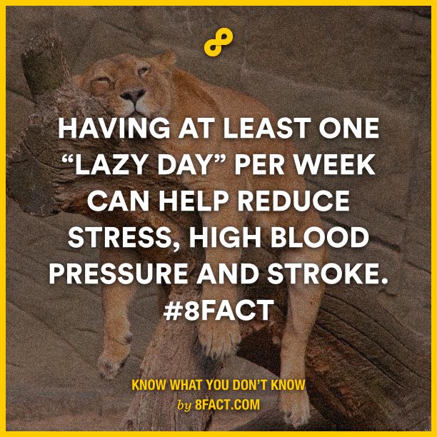 8FACT - qwertyuiop asdfghjkl zxcvbnm