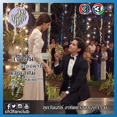 #สามใบไม่เถา