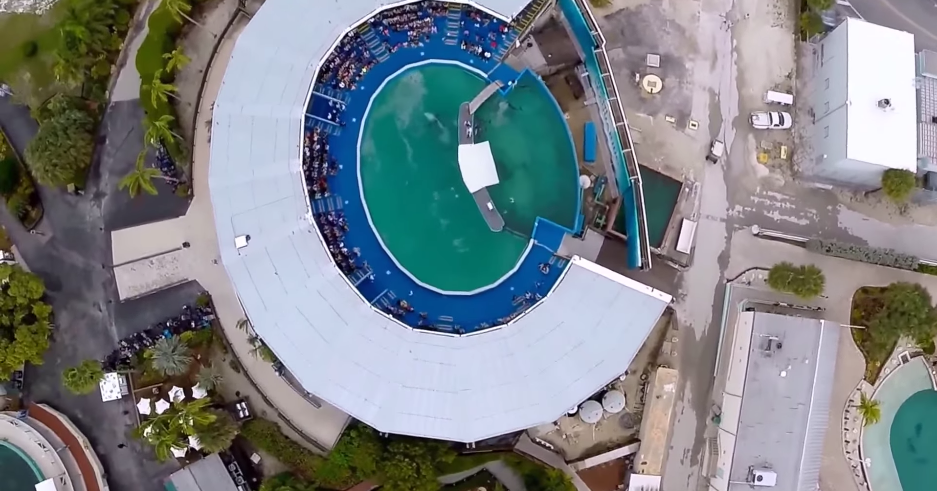 Gizmodo's tweet photo. A drone's-eye view of the smallest, saddest orca tank in the US http://t.co/QDfVpBD4eX http://t.co/V36GJY2hTo