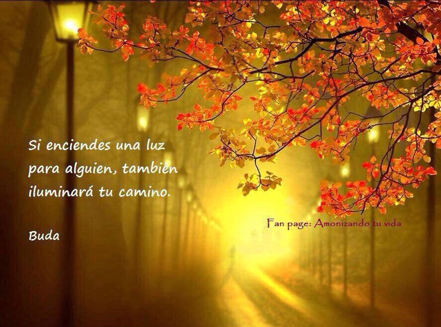 TOTALliderazgo's tweet image. 