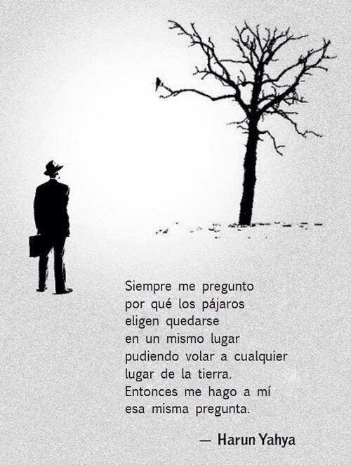 TOTALliderazgo's tweet image. 